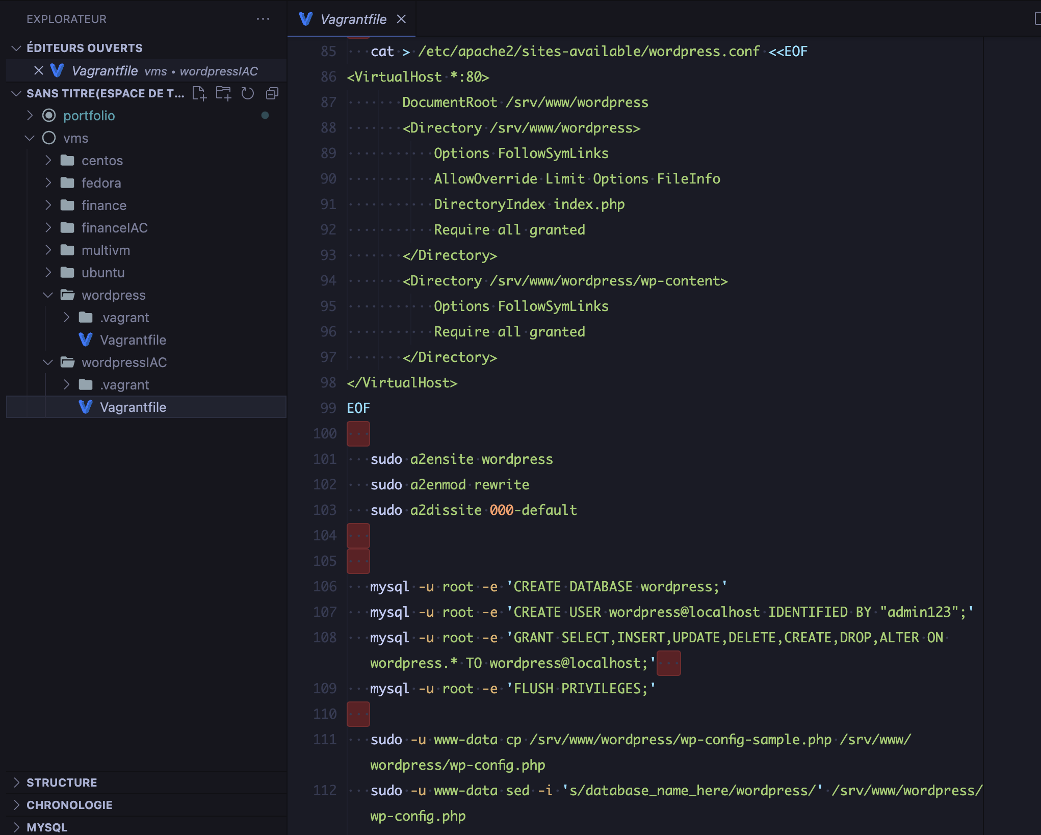 Visuel d'un fichier Vagrant